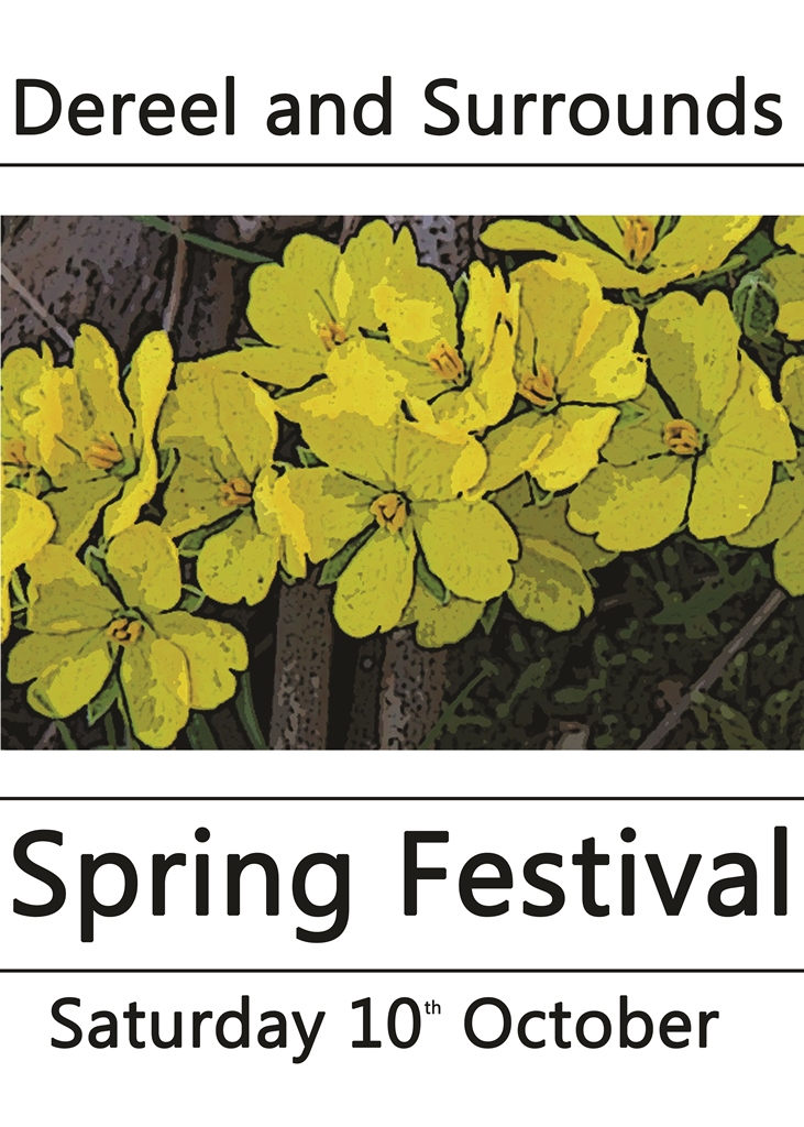 2016 Spring Festival – Use This Form to Share Your&nbsp;Ideas