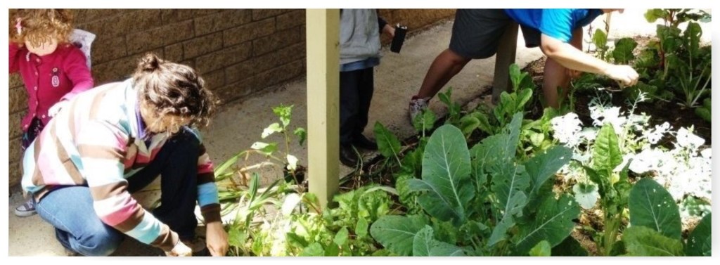 Reminder: Dereel Community Garden Meeting Tonight