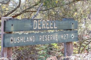 community-planning-process-in-Dereel