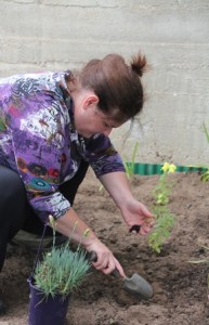 Planting-Seedlings-Flower-Garden