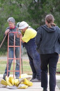 Volunteer-gardeners-admiring-wrok