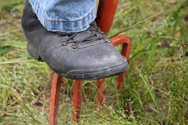 Community Garden Working Bee and Free&nbsp;BBQ