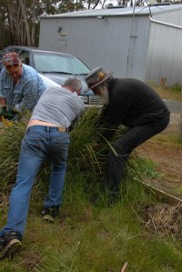 Shifting-a-large-plant-is-not easy