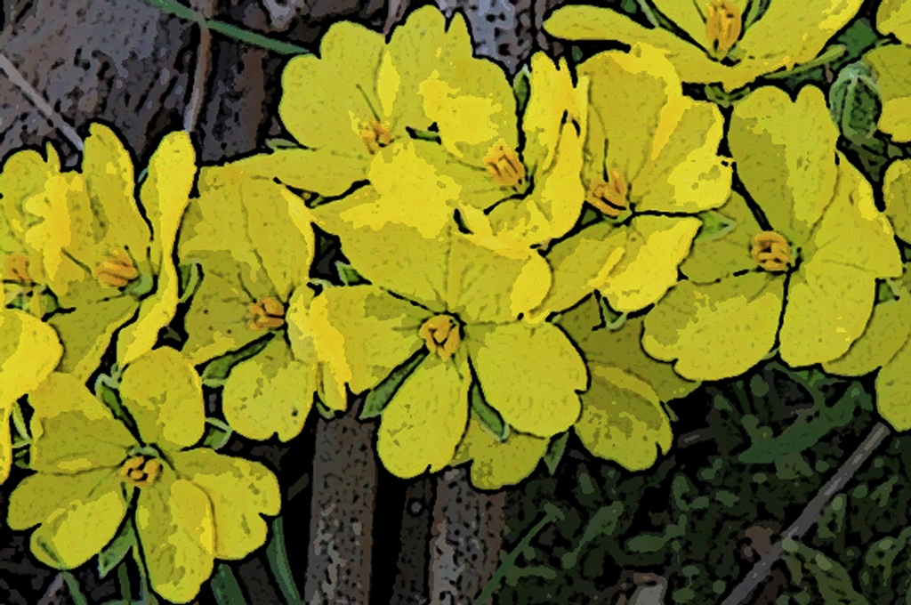 Spring Festival Volunteer Meeting&nbsp;Tonight