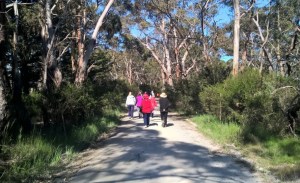 Dereel-walking-Group-stepping-out-on-bush-lined-road