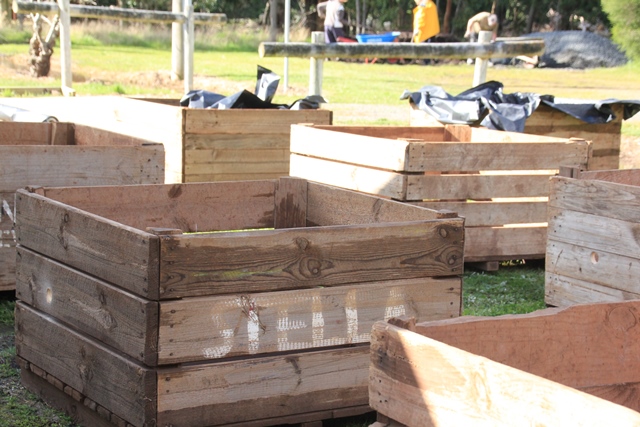 Vegetable Garden Progress