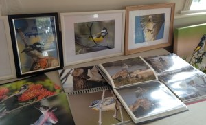 Art-In-Dereel-Carol-Moyse