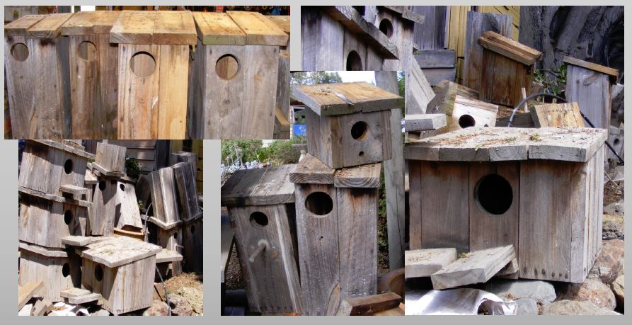 Adopt A Bird&nbsp;House