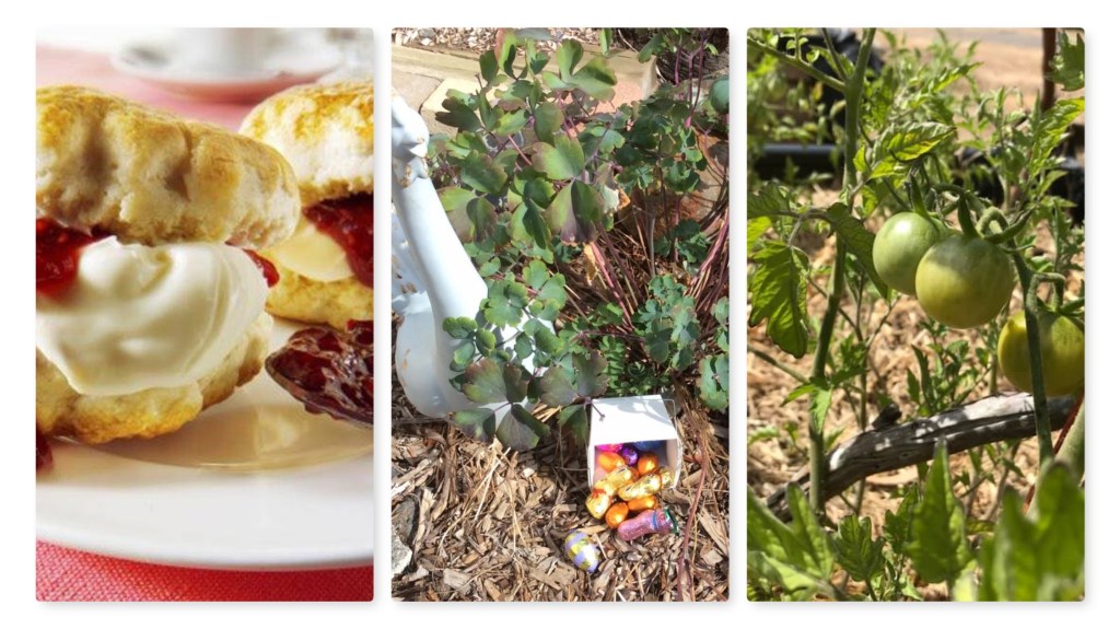 Hub Cafe: Easter Egg Hunt, Devonshire Tea, and&nbsp;Gardening!