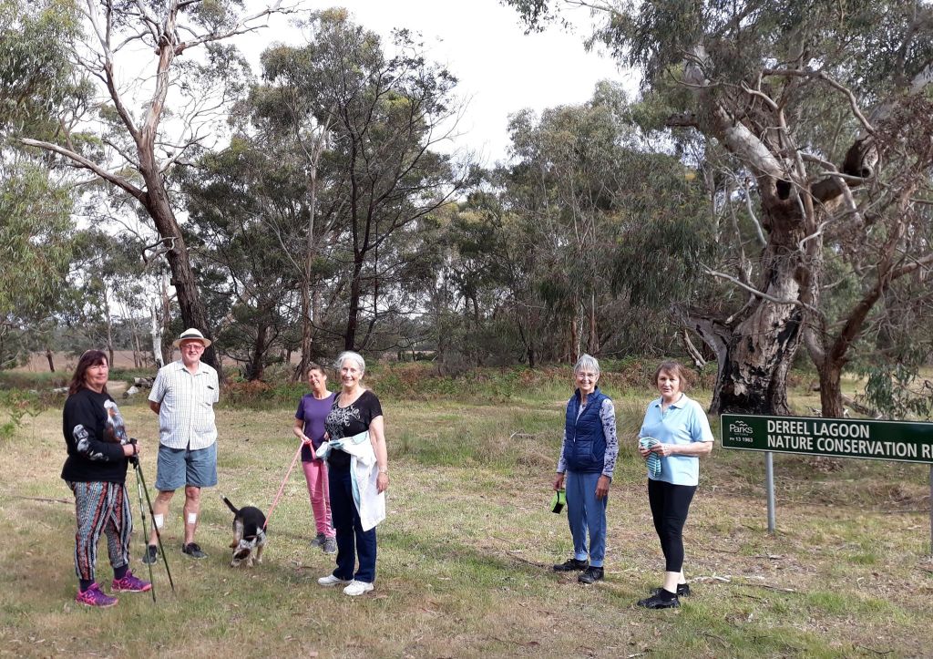 Look What We’ve&nbsp;Done!